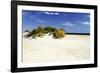 Assateague Beach 3-Alan Hausenflock-Framed Photographic Print