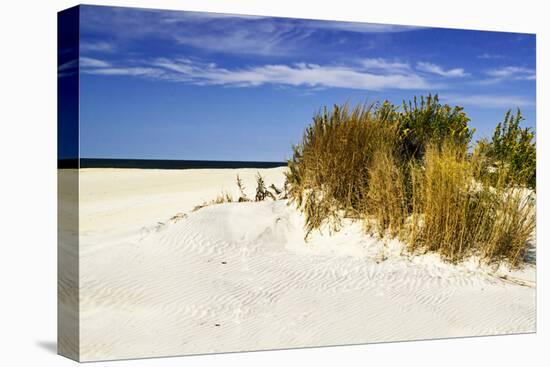 Assateague Beach 4-Alan Hausenflock-Stretched Canvas