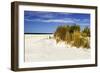 Assateague Beach 4-Alan Hausenflock-Framed Photographic Print