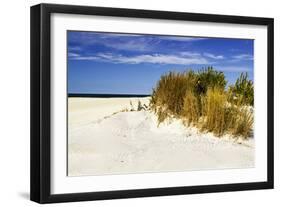 Assateague Beach 4-Alan Hausenflock-Framed Photographic Print