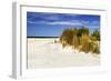 Assateague Beach 4-Alan Hausenflock-Framed Photographic Print