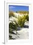 Assateague Beach 6-Alan Hausenflock-Framed Photographic Print