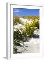 Assateague Beach 6-Alan Hausenflock-Framed Photographic Print