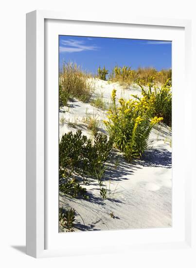 Assateague Beach 6-Alan Hausenflock-Framed Photographic Print