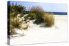 Assateague Beach 7-Alan Hausenflock-Stretched Canvas