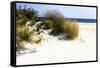 Assateague Beach 7-Alan Hausenflock-Framed Stretched Canvas