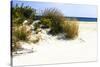 Assateague Beach 7-Alan Hausenflock-Stretched Canvas