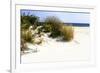 Assateague Beach 7-Alan Hausenflock-Framed Photographic Print