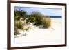 Assateague Beach 7-Alan Hausenflock-Framed Photographic Print