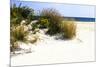 Assateague Beach 7-Alan Hausenflock-Mounted Photographic Print