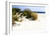 Assateague Beach 7-Alan Hausenflock-Framed Photographic Print