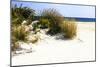 Assateague Beach 7-Alan Hausenflock-Mounted Photographic Print