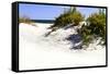 Assateague Beach 8-Alan Hausenflock-Framed Stretched Canvas