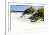 Assateague Beach 8-Alan Hausenflock-Framed Photographic Print