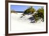 Assateague Beach 8-Alan Hausenflock-Framed Photographic Print