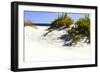 Assateague Beach 8-Alan Hausenflock-Framed Photographic Print