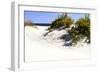 Assateague Beach 8-Alan Hausenflock-Framed Photographic Print