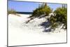 Assateague Beach 8-Alan Hausenflock-Mounted Photographic Print