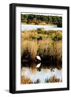 Assateague Island 2-Alan Hausenflock-Framed Photographic Print