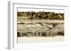 Assateague Island 3-Alan Hausenflock-Framed Photographic Print