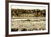 Assateague Island 4-Alan Hausenflock-Framed Photographic Print