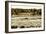 Assateague Island 4-Alan Hausenflock-Framed Photographic Print