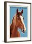 Assateague Island - Horse - Letterpress-Lantern Press-Framed Art Print