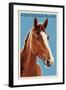 Assateague Island - Horse - Letterpress-Lantern Press-Framed Art Print