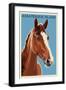 Assateague Island - Horse - Letterpress-Lantern Press-Framed Art Print