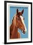 Assateague Island - Horse - Letterpress-Lantern Press-Framed Art Print