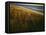 Assateague Island National Seashore, Virginia, USA-Charles Gurche-Framed Stretched Canvas