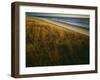 Assateague Island National Seashore, Virginia, USA-Charles Gurche-Framed Premium Photographic Print