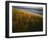 Assateague Island National Seashore, Virginia, USA-Charles Gurche-Framed Premium Photographic Print