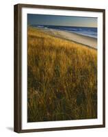 Assateague Island National Seashore, Virginia, USA-Charles Gurche-Framed Premium Photographic Print