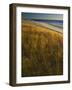 Assateague Island National Seashore, Virginia, USA-Charles Gurche-Framed Photographic Print