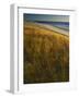 Assateague Island National Seashore, Virginia, USA-Charles Gurche-Framed Photographic Print