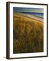 Assateague Island National Seashore, Virginia, USA-Charles Gurche-Framed Photographic Print