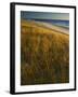 Assateague Island National Seashore, Virginia, USA-Charles Gurche-Framed Photographic Print