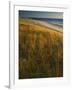 Assateague Island National Seashore, Virginia, USA-Charles Gurche-Framed Photographic Print