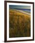 Assateague Island National Seashore, Virginia, USA-Charles Gurche-Framed Photographic Print