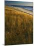 Assateague Island National Seashore, Virginia, USA-Charles Gurche-Mounted Photographic Print