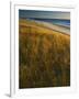 Assateague Island National Seashore, Virginia, USA-Charles Gurche-Framed Photographic Print