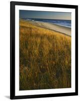 Assateague Island National Seashore, Virginia, USA-Charles Gurche-Framed Photographic Print