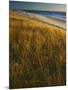 Assateague Island National Seashore, Virginia, USA-Charles Gurche-Mounted Photographic Print