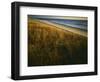 Assateague Island National Seashore, Virginia, USA-Charles Gurche-Framed Photographic Print