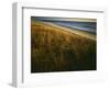 Assateague Island National Seashore, Virginia, USA-Charles Gurche-Framed Photographic Print