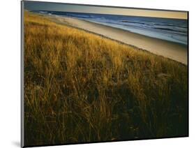 Assateague Island National Seashore, Virginia, USA-Charles Gurche-Mounted Photographic Print