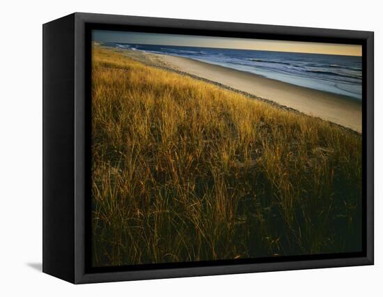 Assateague Island National Seashore, Virginia, USA-Charles Gurche-Framed Stretched Canvas