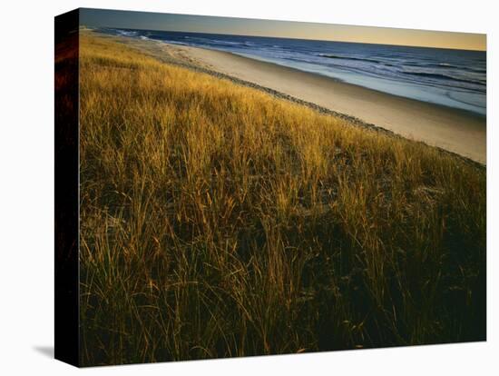 Assateague Island National Seashore, Virginia, USA-Charles Gurche-Stretched Canvas