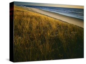 Assateague Island National Seashore, Virginia, USA-Charles Gurche-Stretched Canvas